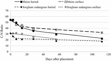 Buried and surface-placed maize and sorghum sudangrass residue C:N ratio over 112 days