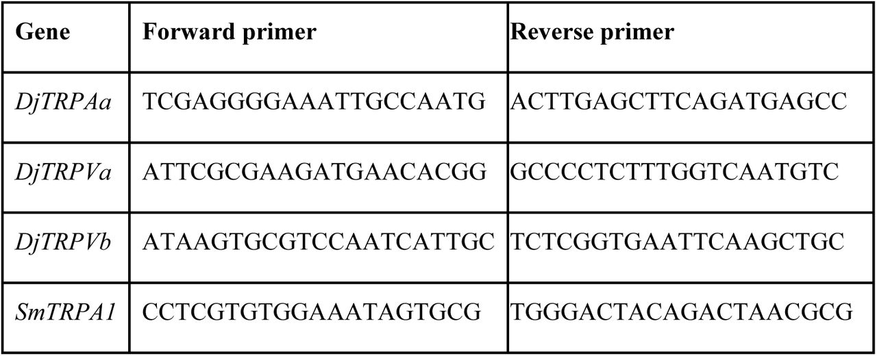 Primers used for qRT-PCR.