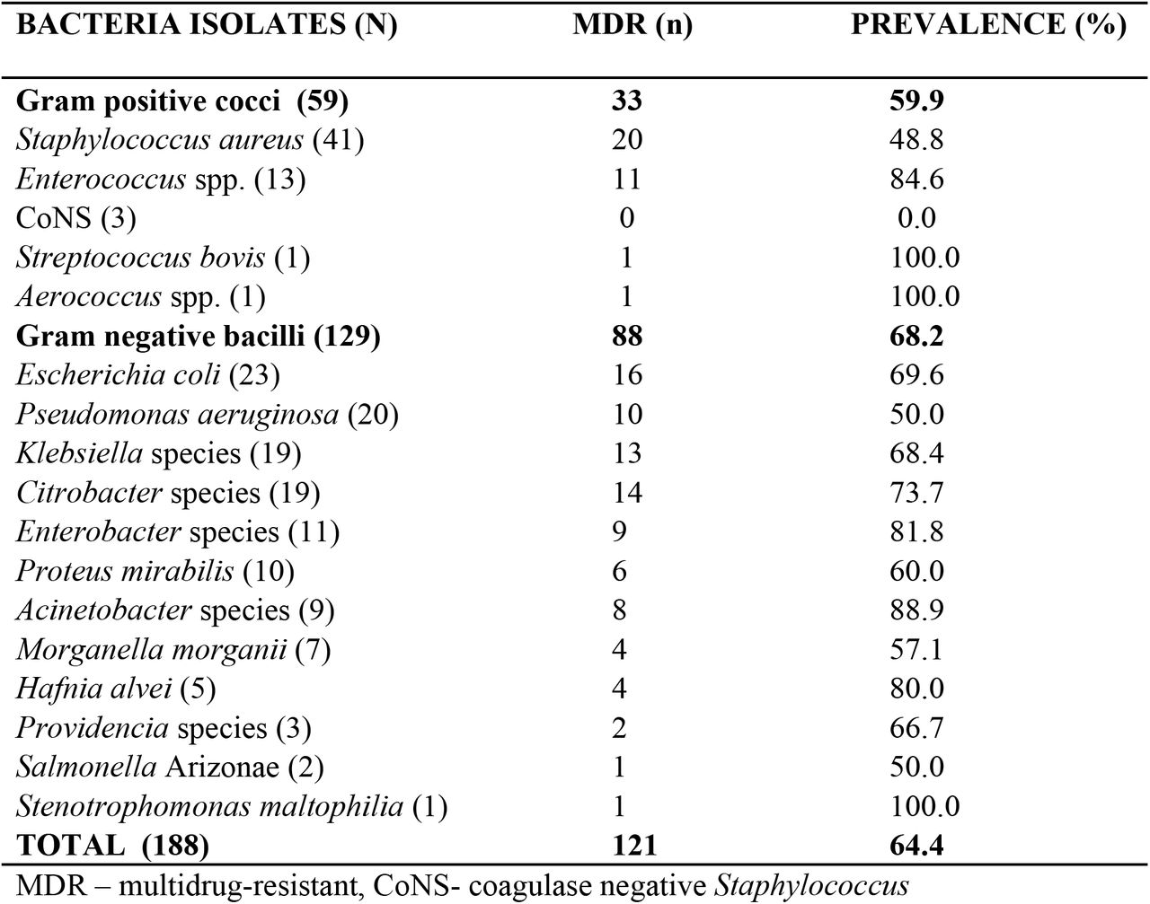 Prevalence of Multidrug-resistant bacterial isolates in IDFU