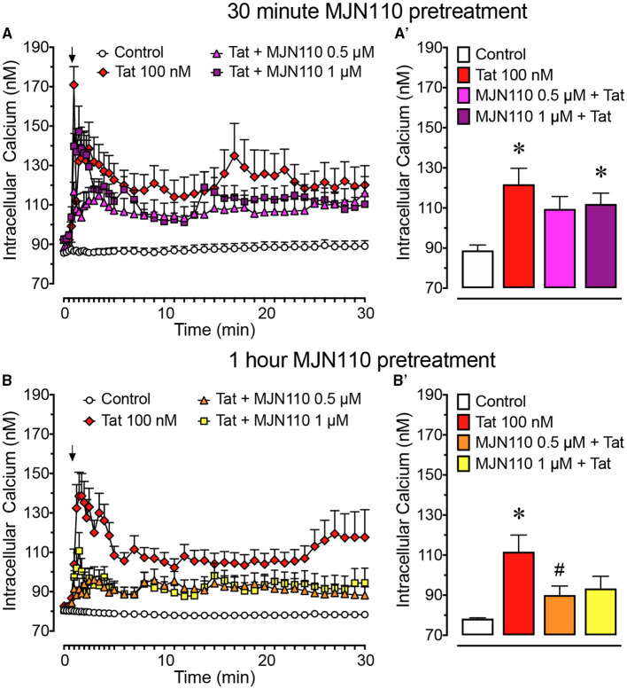 Primary frontal cortex neuron cultures (DIV 7-11) were untreated or pre-incubated for (A) 30 min or (B) 1 h with different concentrations of MJN110 before [Ca2+]i imaging began. [Ca2+]i levels were plotted over a 30-min time period with Tat 100 nM being applied at the 1-min mark (arrow). (A) Pre-incubation of MJN110 for 30 min prior to Tat application was not able to inhibit significant increases in [Ca2+]i induced by Tat when observed across a 30-min time period. (A') The [Ca2+]i levels are summarized for the last 10 min of calcium assessment and indicate that none of the MJN110 concentrations is able to inhibit Tat-induced increases in [Ca2+]i levels. (B) Pre-incubation of MJN110 for 1 h prior to Tat application inhibited Tat-associated [Ca2+]i upregulation over a 30-min time period. (B') The [Ca2+]i levels are summarized for the last 10 min of calcium assessment and indicate that MJN110 0.5 μM was able to significantly inhibit Tat-induced [Ca2+]i increases. Data are mean ± SEM. Statistical significance was determined using ANOVA and Bonferroni correction where applicable. An alpha level of p < 0.05 was considered significant for all statistical tests. *p < 0.05 vs. Control; #p < 0.05 vs. Tat 100 nM.