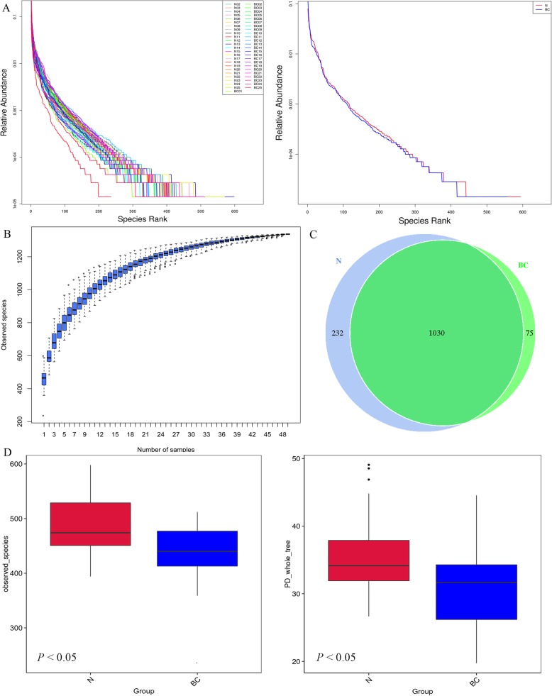 Alpha diversity a Hierarchical clustering curves for different samples and different groups. The curves numbered the OTUs in the sample in order of relative abundance from large to small, and then took the ranking number of OTUs as the abscissa and the relative abundance of OTUs as the ordinate, and connected these points with broken lines. The curves are shown by sample and group analysis, respectively. b Species accumulation boxplot. The abscissa represents the sample size and the ordinate represents the number of OTU after sampling. The results reflect the rate of new OTU under continuous sampling. c Venn graph of OTUs clustering. Venn graph shows the common and unique OTUs between the different groups. A. total common 1030 OTUs were obtained. A total of 75 OTUs was special for breast cancer and 232 OTUs was special for normal group. d Observed and PD-whole-tree indexes box between groups. The two box plots show the median species diversity within the group. Alpha-diversity indice is significantly higher in the (normal) N group patients compared with in the (breast cancer) BC group patients (P < 0.05)