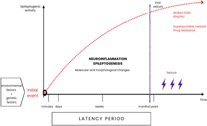 Graph illustrating epileptogenesis. The horizontal axis represents time from minutes to years. The vertical axis shows epileptogenic activity. The process starts with an initial event involving environmental and genetic factors, progresses through neuroinflammation and epileptogenesis marked by molecular changes, leading to the first seizure. This is followed by recurrent seizures, labeled refractory epilepsy, with hyperexcitable networks and drug resistance. The latency period spans before the first seizure.