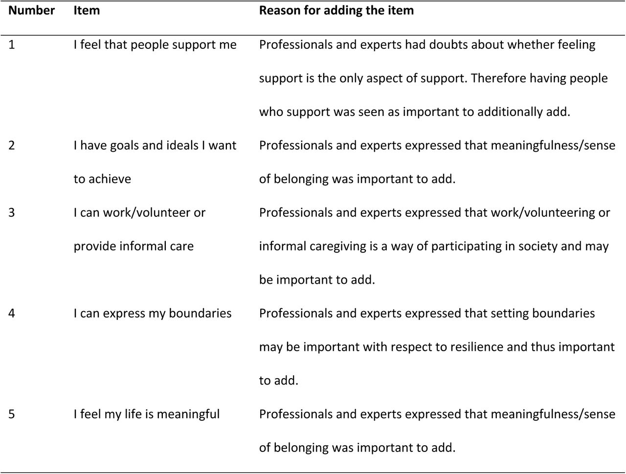 Additional items added after expert validation and core group discussion.