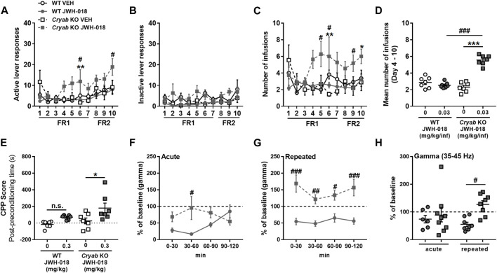 Response of wild-type (WT) and Cryab knockout (KO) mice to JWH-018 addiction-related behavioral paradigms. Self-administration (SA) responses of mice are indicated by (A) active and (B) inactive lever responses and the (C) number of infusions, along with (D) mean number of infusions, which were recorded each day for a 2-h session. n = 9–11. Place preference is indicated by (E) Conditioned place preference (CPP) score of mice, which is obtained by the difference between the stay duration of mice in the drug-paired compartment between post- and pre-conditioning. n = 7. Changes in gamma-wave power of mice after (F) acute or (G) repeated treatments over 30-min bins were determined by 2-h electroencephalography (EEG) recordings, and the 2-h averages (H) were compared. n = 6–9. Data expressed as mean ± S.E.M. *p < 0.05, **p < 0.01, and ***p < 0.001 (vs. VEH; Tukey post hoc analysis). # p < 0.05, ## p < 0.01, and ### p < 0.001 (vs. WT; Tukey post hoc analysis).