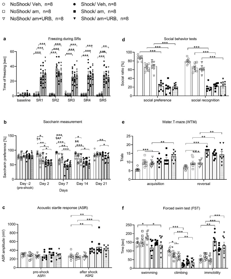The effects of URB597 on behavior in rats exposed to shock and reminders are mediated by CB1 receptors. The shocked groups (Shock/Veh, Shock/am, Shock/am + URB597) compared with the non-shocked groups (NoShock/Veh, NoShock/am, NoShock/am + URB597), demonstrated the following: increased freezing levels (a); a decrease in saccharin preference on days 2, 7, 14, and 21 (b); increased acoustic startle response (ASR) amplitude on ASR2 (c); decreased social preference and social recognition (d); impaired performance in the acquisition and reversal phases in the water T-maze (WTM) (e); and increased immobility (f) (data is shown as mean ± sem; *, p < 0.05; **, p < 0.01; ***, p < 0.001).