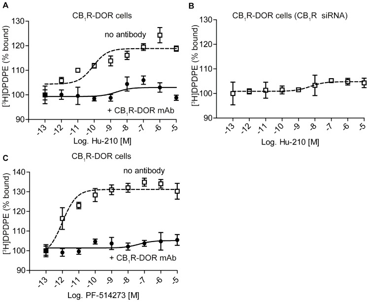 DOR binding is enhanced by CB1R ligands in membranes of cells expressing CB1R and DOR. A, Membranes from N2A-DOR cells were incubated with 100 fM – 10 µM Hu-210 in the presence of 0.5 nM [3H]DPDPE ± 1 µg CB1R-DOR monoclonal antibody for 1 hour. Ligand binding assay was carried out as described in “Methods” and [3H]DPDPE binding to membranes was detected using a scintillation counter. Data represent Mean ± SEM (n = 3 experiments in triplicate). B, Membranes from N2A-DOR cells in which CB1R expression was decreased by siRNA transfection were treated with 100 fM – 10 µM Hu-210 in the presence of 0.5 nM [3H]DPDPE. Ligand binding assay was carried out as described in “Methods” and [3H]DPDPE binding to membranes was detected using a scintillation counter. Data represent Mean ± SEM (n = 3 experiments in triplicate). C, Membranes from N2A-DOR cells were treated with 100 fM – 10 µM PF-514273 in the presence of 0.5 nM [3H]DPDPE along with the presence or absence of 1 µg CB1R-DOR monoclonal antibody for 1 hour. Ligand binding assay was carried out as described in “Methods” and [3H]DPDPE binding to membranes was detected using a scintillation counter. Data represent Mean ± SEM (n = 3 experiments in triplicate).