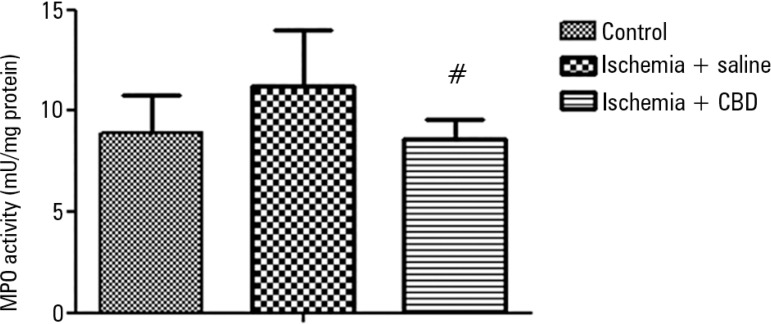 The effect of cannabidiol treatment on myeloperoxidase activity after renal ischemia reperfusion injury. Animals were sham operated or had their renal pedicle clamped bilaterally for 45 minutes. Immediately before unclamping, a single dose of cannabidiol (5mg/kg) or saline was administered. Twenty-four hours later, the myeloperoxidase activity was measured in the kidneys.MPO - myeloperoxidase; CBD - cannabidiol. Data are expressed as mU/mg protein. # Different from ischemia/saline. p < 0.05.