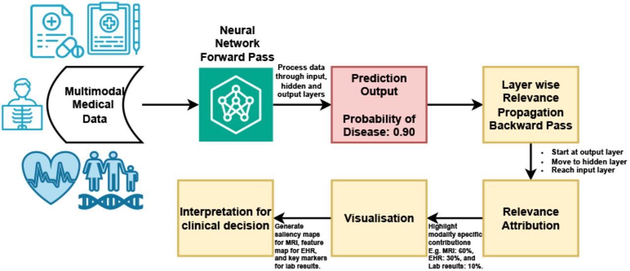 Explainable Multimodal Disease Explanation using LRP