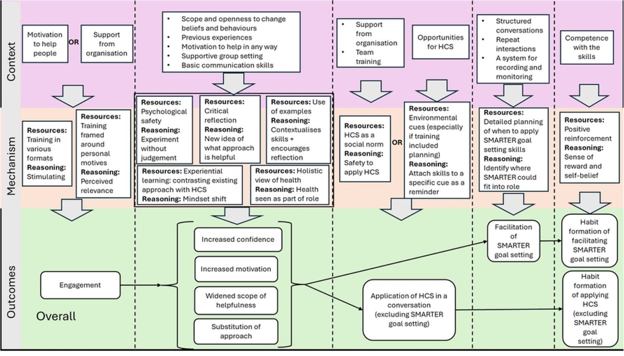 Visual depiction of the overall initial programme theory, for testing.