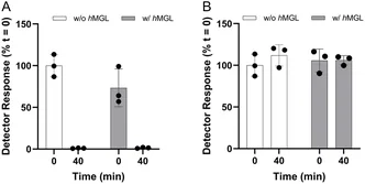 Stability of compounds 1a (panel A) and 6 (panel B) at 100 nM concentration in assay buffer (enzyme‐free, white bars) and in the presence of hMGL (gray bars), evaluated by LC–MS/MS detector response at t = 0 and t = 40 min. Data are normalized to the detector response obtained at t = 0 in the assay buffer.