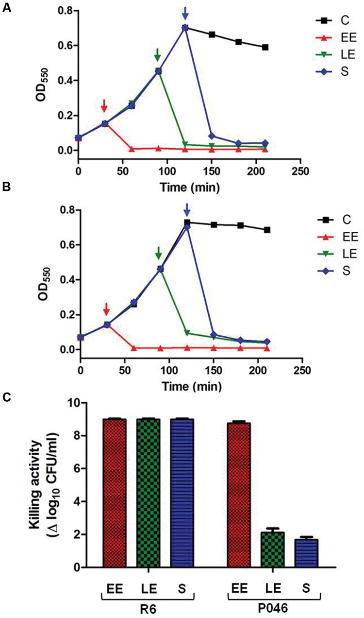 Effect of PL3 on growth of pneumococcal R6 and P046 cultures. (A,B) R6 and P046 growing curves where 2.7 μg/ml PL3 were added at different phases of growth (marked by arrows) in the presence of 10 mM DTT. (C) Log of killed cells was calculated by comparing CFUs of treated- and PL3-untreated cultures determined 210 min after culture initiation. EE, early exponential phase; LE, late exponential phase; S, stationary phase; C, untreated control. Error bars represent standard deviations and differences in activity values are statistically significant (P < 0.05).