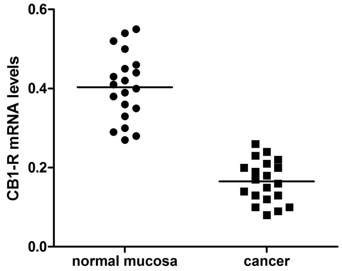CB1 receptor gene expression levels (mean ± SE) in intestinal normal mucosa and cancer tissue from 20 patients with colorectal cancer. Data expressed as molecule numbers of CB1 receptor gene mRNA /molecule numbers of β-actin mRNA.