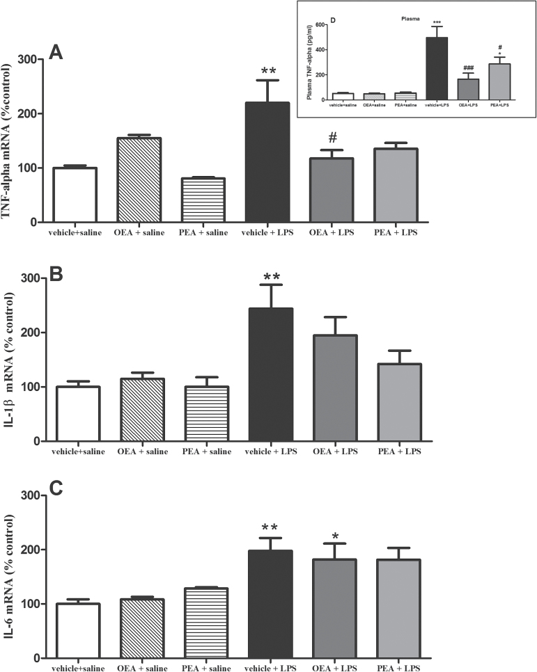 Proinflammatory cytokines in frontal cortex (and plasma). Real time-polymerase chain reaction (RT-PCR) analysis of tumor necrosis factor (TNF)-α (A), interleukin (IL-)1β (B), and IL-6 (C) mRNAs in frontal cortex 150 minutes after lipopolysaccharide (LPS) administration. Data (n =4–7 per group) are normalized by tubulin and are presented as means ± SEM. Data in D (graph box) represents plasma levels of TNF-α measured by ELISA. Different from control group: *P < .05, **P < .01; different from vehicle + LPS rats: # P < .05 (2-way ANOVA followed by Bonferroni posthoc test).