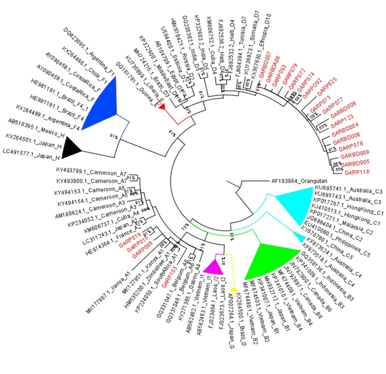 Phylogenetic Tree of HBV sequences from this study alongside published sequences. Sequences from this study are marked in red at the taxa and clustered with Genotype A and D