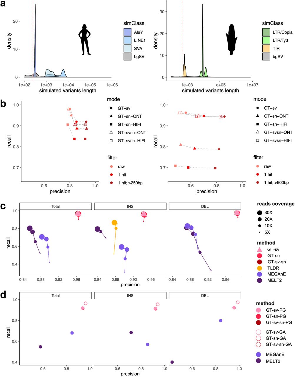 Evaluation of GraffiTE.a. Length distribution of the pMEs and background SVs (bgSV) simulated in human (left) and maize (right) datasets. The red dashed line indicates the length cutoff used when filtering variants. b. Recall and specificity for pMEs detection on simulated human and maize datasets. “raw”: unfiltered output VCF from GraffiTE, “1 hit”: pMEs annotated with a single RepeatMasker hit representing >= 80% of the variant’s sequence. “1 hit;>250/500bp”: identical to “1 hit” with pMEs < 250 or < 500 bp filtered out. GraffiTE modes: “GT-sv”: GraffiTE-Svim (SV search from assemblies), “GT-sn”: GraffiTE-Sniffles 2 (from long-read sets), “GT-svsn” = GraffiTE Svim-Sniffles 2 (pME search from assemblies and long-read sets, see also Table S1); -ONT suffix: Oxford Nanopore reads; -HIFI suffix: PacBio HiFi reads. See also Supplementary Table 1-B for an extended legend c. Evaluation of pME detection performance and comparison with existing tools using a benchmark set derived from the GIAB analysis of HG002/NA24385. Methods legend and acronyms according to Table S1. GT-sv (pink triangle) has no coverage information for pME search, since the variants were directly detected from genomic assemblies of the maternal and paternal chromosomes. Connecting dots indicate runs with increased read coverage. Note that the software TLDR only reports non-reference (INS) pMEs. d. Evaluation of pME genotyping performances and comparison with short-read linear-mapping methods using 30X reads coverage. The suffix -PG denotes runs genotyped with Pangenie (short Illumina reads), and -GA GraphAligner (long, PacBio HiFi reads). Methods legend and acronyms according to Supplementary Table 1.