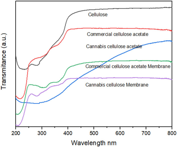 The UV–Vis absorption spectra of pristine cellulose, acetylated cellulose obtained from both commercial and cannabis-derived sources, as well as their respective electrospun membranes.