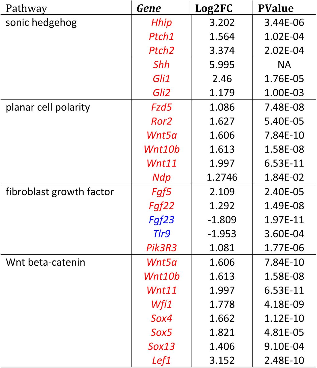 Significantly up/down-regulated genes in shh, pcp, fgf, and wnt/beta-catenin signaling pathways after exposure to BCP.Genes with log fold change over 1 are shown. Up-regulated genes are written in red, and down-regulated genes are written in blue. Results of genes with over E-05 Pvalues are shown in bold letters. NA in PValues is outlayer compared to other genes presumably because of its extremely high expression in BCP group compared to Oil group.
