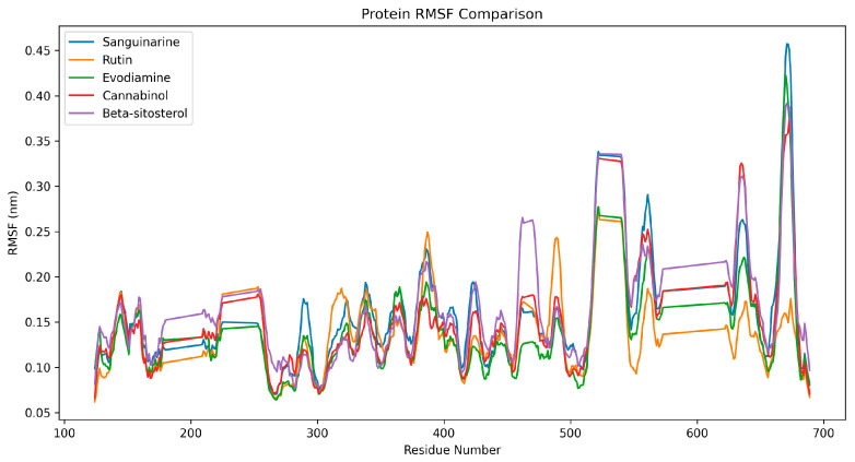 Root mean square fluctuations (RMSF) analysis of ODC in complexes with Sanguinarine, Rutin, Evodiamine, Cannabinol, and β-sitosterol was examined within a 100 ns simulation period. In general, RMSF is lower across most residues, indicating stability of the protein core, with higher peaks in flexible loops. Evodiamine and Cannabinol showed relatively lower RMSF values compared to β-sitosterol in certain regions.