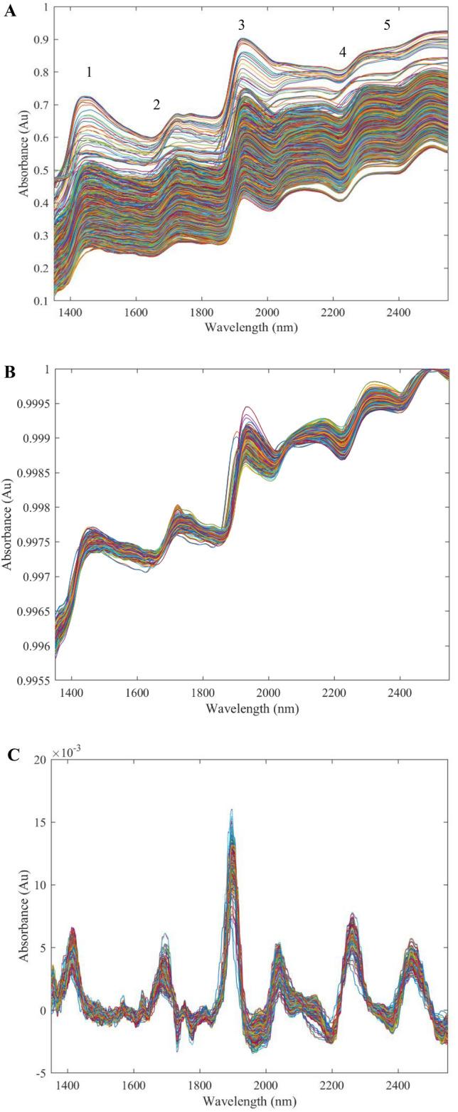 Pre and Post-processed spectra of the complete set of samples (n = 249) obtained using the NIR diffuse reflectance spectrometer in the wavelength region 1350–2500 nm. (A) The pre-processed (in absorbance) raw spectra for all 249 samples, including triplicate technical replicates. (B) The processed spectra for the models that were not derivatised. Includes models: CBN (19,097), CBC (19,096), CBGA (19,164), CBG (19,164), CBDV (17,199), THCV (19,161) and CBD (19,156). (C) Processed spectra that have been derivatised under first order derivatisation for CBDA (19,137), Δ9-THC (19,158), Δ9-THCA (19,179) and THCVA (19,180). For this figure a derivative data transformation was undertaken. The y-axis is the absorbance of reflected molecules in the test samples, the x-axis is the measured wavelength (nm). All spectra values were obtained from the Hone Create Platform. All processed spectra were determined from the software algorithms.