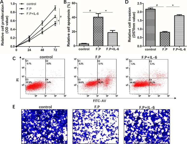 The inhibitive effect of Faecalibacterium prausnitzii on the growth of MCF-7 cells through IL-6. MCF-7 cells were subjected to proliferation usingCCK-8, apoptosis and invasion assays as described in the text (see Materials and Methods). MCF-7 cells were incubated with DMEM medium as control, Faecalibacterium prausnitzii supernatant (F.P), and Faecalibacterium prausnitzii supernatant plus 50 ng/ml recombinant human IL-6 (F.P + IL-6) for 72 h, respectively. Then CCK-8 (a), apoptosis (b and c) and invasion (d and e) assays were performed and the data was analyzed. # indicates control vs F.P group, P < 0.05; *indicates F.P vs F.P + IL-6 group, P < 0.05