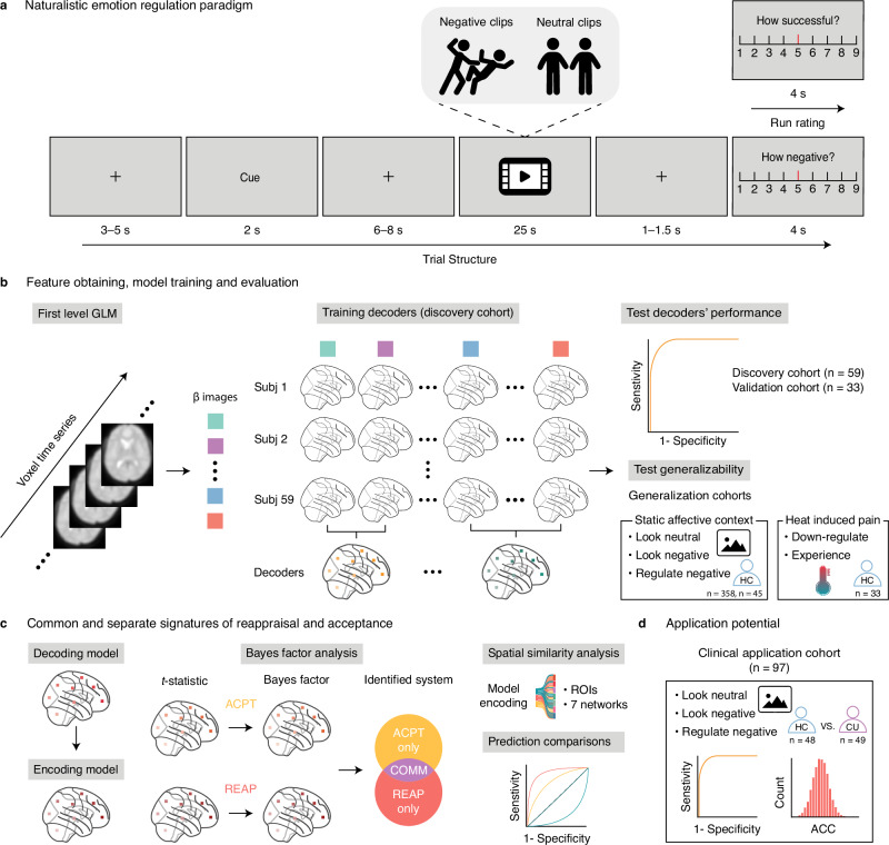 Task paradigm, model evaluation, and general analytic workflow.a Naturalistic emotion regulation paradigm used in the discovery and validation cohort. The cues were “react”, “acceptance”, or “reappraisal”, indicating which strategy participants should use to view the neutral/negative video clips. At the end of each trial, participants rated their negative feelings. At the end of each run, participants rated their average success level in this run. Notably, the schematics were used only for illustrative purposes to avoid copyright issues and were not part of the original stimulus set. b Feature estimation, model training, and evaluation. First-level contrast maps were used as features in the prediction analysis. The whole brain multivariate pattern predictive of the acceptance, reappraisal, or reaction to the naturalistic stimulus was trained on the discovery sample (n = 59) using the support vector machine (SVM) and further evaluated in discovery (cross-validated), validation (n = 33) cohorts. The generalizability of the developed signatures across samples, MRI systems, culture, and stimuli (dynamic versus static34,65, n = 358 and n = 45, or heat-induced pain66, n = 33). c Systematically investigate the common and distinct neuro-basis of acceptance and reappraisal. Determining the contribution of specific brain systems by using univariate and multivariate methods. The performance of isolated brain regions or systems was tested by multiple prediction analyses. d Testing the specificity of developed models in terms of distinguishing corresponding mental processing from other decoders, e.g., cannabis users (CU, n = 49) and healthy controls (HC, n = 48)71. Subj subject, ACPT acceptance, REAPP reappraisal, COMM common, ROIs regions-of-interest, ACC accuracy.