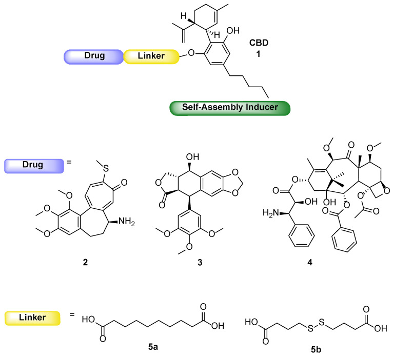 Schematic structure of the drug conjugates and building blocks.
