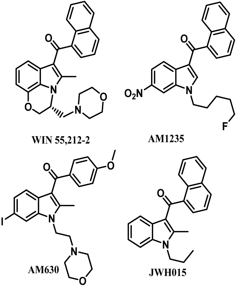 Representative aminoalkylindole ligands.