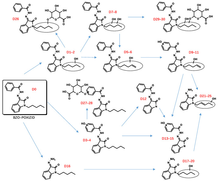 Proposed metabolic pathway of BZO-POXIZID.