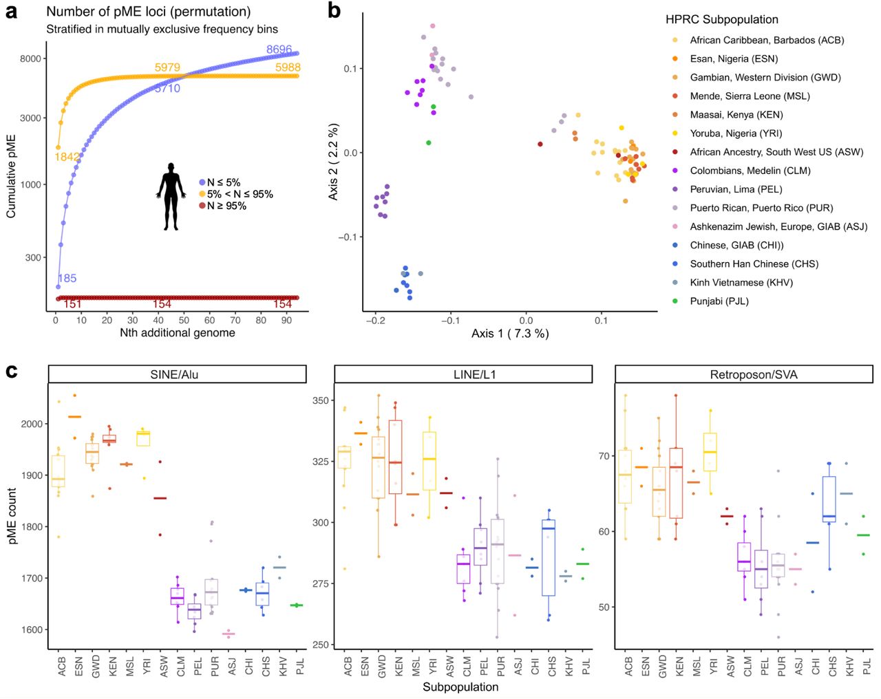 HPRC pME pangenome analysis.a. Discovery curves for pMEs detected with GraffiTE using 47 diploid genome assemblies (GT-sv mode) against the reference genome hg38. To reduce false-positives, only pMEs with a single hit on Alu, LINE-1 or SVA and with a size >= 250bp were kept, based on the simulations and benchmark results. For each mutually exclusive frequency bin, the average number of pMEs in N genomes is reported after performing 100 permutations and sampling of the genomes. b. PCoA representing the 94 haploid assemblies of the HPRC pangenome using segregating Alu, LINE-1 and SVA insertion polymorphisms. c. Count of pMEs for each haploid assembly (N = 94), broken-down per TE type (Alu, LINE-1, SVA) and subpopulation. Bottom and top hinges of the boxes indicate the first and third quartiles of the distribution; the intermediate and thicker bar represents the median. Whiskers extend from the hinges to the largest or lowest value, but no further than 1.5 times the inter-quartile value. Subpopulation codes are referenced according to panel b.