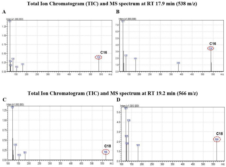 Ceramide peaks at C16:0 and C18:0 respectively were seven (B) and ten times (D) higher in the treated over control groups ((A) and (C) respectively) at the end of 16 h treatment regimen emphasizing C2-induced over-production of ceramides.