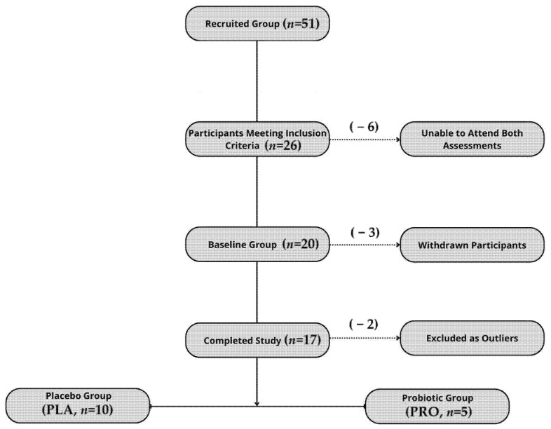 Flowchart illustrating participant recruitment, inclusion, dropout, and final allocation to study groups.