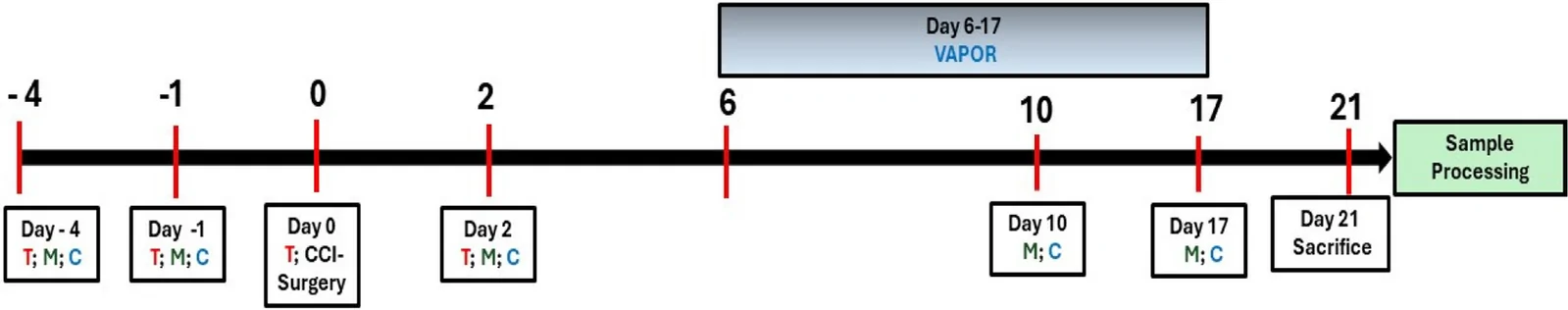 Experimental Paradigm. T- Thermal Hyperalgesia; M- Mechanical Allodynia; C- Cold Allodynia; CCI- chronic constriction injury