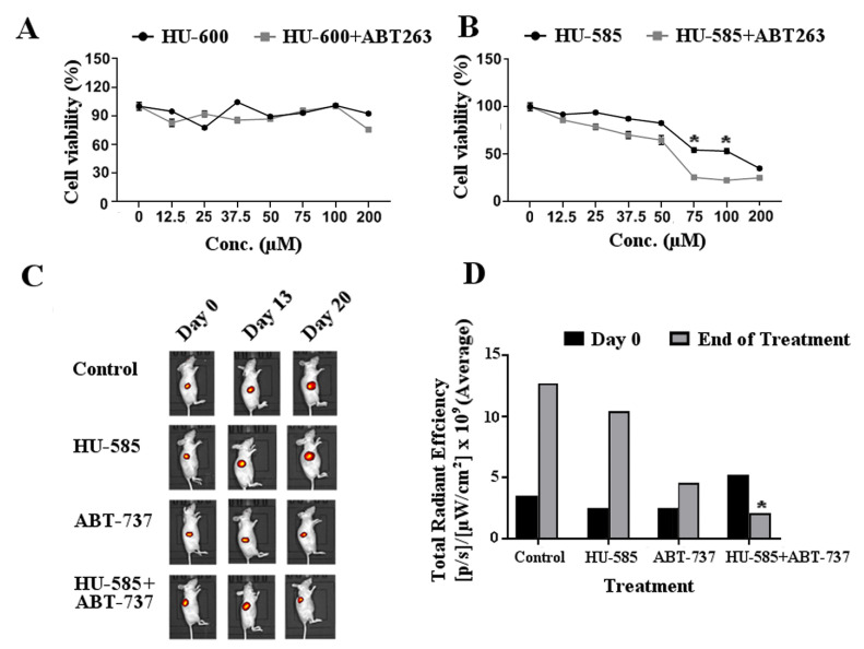 The combination of HU-585 with anti Bcl-2 compounds results in enhanced tumor growth delay in vitro and in vivo. (A,B) The effect of combination therapy of ABT-263 with HU-600 or HU-585 on SK-N-SH cells viability. The cells were plated in 96-well plate and treated with increasing concentrations of HU-600 (A) or HU-585 (B) for 72 h, with or without 2.5 µM of ABT-263. Viability measurements are shown by MTT assay and demonstrate a better effect of ABT-263 treatment combined with HU-585 in comparison to HU-585 alone. A similar effect was not obtained following combination of ABT-263 with HU-600. All values are normalized to control. Data are expressed as percentage of the vehicle control and are the mean of pooled results from several experiments performed in triplicate. Statistical significance was determined by GEE test, * p < 0.05 compared to HU-585 + ABT263 (0.86 < SE values < 4.22). (C,D) Combined treatment of ABT-737 with HU-585 inhibited tumor growth in mice model. A total of 5 × 106 SK-N-SH expressing mCherry cells were subcutaneously inoculated in the right flank of nude mice. The mice were divided into four groups and given vehicle, HU-585 (120 mg/kg), ABT-737 (75 mg/kg) or combination of HU-585 with ABT-737 (120 mg/kg, 75 mg/kg, respectively) once daily by IP injections for 21 days. (C) Tumor burden was followed by IVIS system once a week during treatment. (D) Average total radiant efficiency signal was significantly lower following combined treatment with HU-585 and ABT-737 compared to control or HU585 alone. The Kruskal-Wallis test and the post hoc Dunn’s multiple comparisons test were used to evaluate significant differences in the growth rate of xenografts between treatment groups, * p < 0.05 compared to control and HU-585.