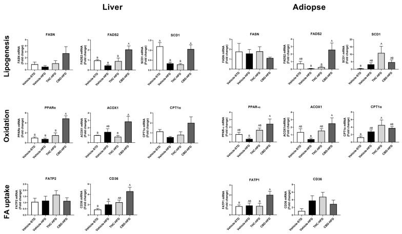 The effect of THC and CBD on liver and adipose tissue mRNA expression of genes involved in lipid metabolism. Expression profile of genes involved in lipogenesis (FASN, FADS2, and SCD1), fatty acid uptake (FATP2, FATP1, and CD36), and lipid oxidation (PPARα, ACOX1, and CPT1α) (n = 4–5). TBP and PPIA were used as housekeeping genes for liver and adipose tissue, respectively. The results were calculated as ΔΔCt and normalized to data from vehicle STD. Data are shown as average ± SEM. Statistical significance was determined using one-way ANOVA followed by Tukey’s post hoc test. Different subscribed letters indicate significant differences between groups, p < 0.05.