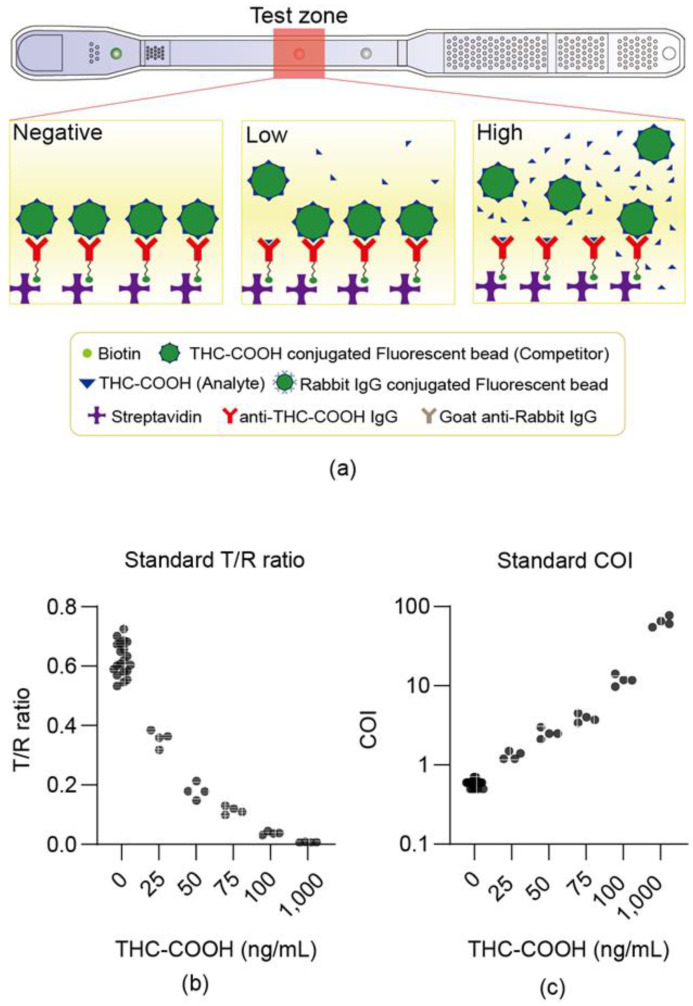 Device dose–response to THC-COOH standards in urine. (a) Shows the degree of fluorescence bead binding according to the THC-COOH concentration. (b,c) Show the measurement results of the LDT standard material, where the test was conducted by mixing the standard material with the negative urine samples. (b) Illustrates the correlation between the test/ref ratio and concentration of the THC-COOH standard material. (c) Shows the correlation between the COI and the concentration of the THC-COOH standard material, demonstrating the wide dynamic range (0–1000 ng/mL) of the microfluidic device. This curve is distinct from the calibration curve (5–200 ng/mL) used to validate the LC-MS/MS reference method (Section 2.5.4).