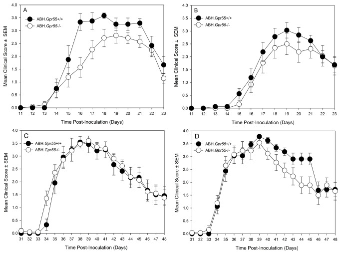 GPR55-deficiency has marginal effects on the development of EAE in ABH mice.(A, C) Female and (B, D) male ABH wildtype (black circles) or ABH.Gpr55-knockout mice (white circles) were injected with spinal cord homogenate in Freunds adjuvant on day 0 and 7 and a relapse was induced on day 28 post-inoculation. Neurological signs were scored daily 0-5 scale. The results show the disease course during (A, B) the initial acute or (C, D) an induced relapse. The results represent the mean ± SEM daily scores. n = 12-21/group.