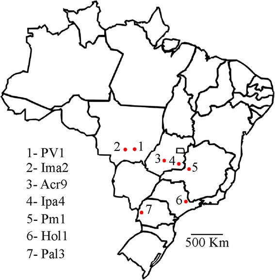 Map of Brazil showing sites where cotton plants were harvested for the study. The numbered red dots in the map indicate the different cotton leafroll dwarf virus isolates harvested