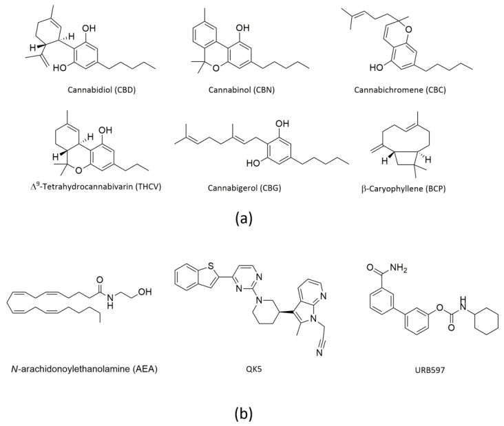 Chemical structures of (a) cannabis-derived compounds, and (b) AEA and two potent FAAH inhibitors, QK5 and URB597.