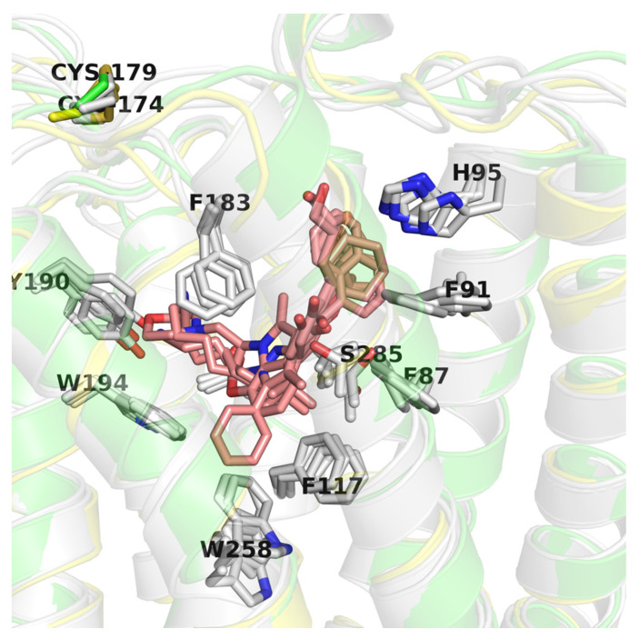 Comparison of CB2 structures available in the Protein Data Bank (PDB). Here, an inactive CB2 conformation (5ZTY) is shown in green and is the best performing in virtual screening (VS), active conformation (6KPF) is shown in yellow, and other CB2 active structures are shown in grey. Residues are labeled according to the 5ZTY numbering.