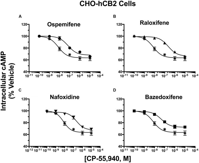 Selective estrogen receptor modulators produce surmountable and insurmountable antagonism of CP-55,940 inhibition of adenylyl cyclase activity in CHO-hCB2 cells. CHO-hCB2 cells were pre-incubated for 30 min with receptor saturating concentrations of individual SERMs and were subsequently co-incubated for 7 min with increasing concentrations of CP-55,940. Measurements of CP-55,940 effects alone on potency (IC50) and efficacy (IMAX) of intracellular cAMP were obtained and were compared to the shifts in IC50 and IMAX values observed by co-incubation with individual SERMS: (A) Ospemifene, (B) Raloxifene, (C) Nafoxidine, and (D) Bazedoxifene. All IC50, IMAX, and Kb values (mean ± SEM) were derived from non-linear regression analysis of the curves shown and are presented in Table 5 with statistical analysis. Asterisk symbols represent the concentration-effect curve for CP-55,940 alone, while filled symbols the action of CP-55,940 in the presence of the SERM indicated.