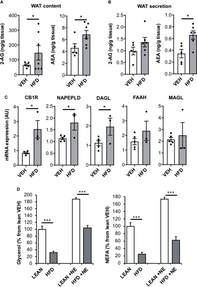 AEA production is increased in WAT of HFD mice while lipolysis is reduced. (A) 2-AG and AEA levels in epididymal WAT of mice fed with a high fat diet (HFD) compared to standard diet (LEAN); n=5/group. (B) Production of 2-AG and AEA by WAT explants from HFD and LEAN mice after 2 hours of incubation in culture medium added with JZL195 (10 µM) to limit the degradation of ECs secreted over time (n=5/group). (C) mRNA expression of CB1R, NAPEPLD, DAGL, FAAH and MAGL in epididymal WAT of LEAN and HFD mice (n=5/group). (D) Glycerol and nonesterified fatty acid (NEFA) production by WAT explants from HFD and LEAN mice after 1 hour of incubation in the presence of norepinephrine stimulation (NE, 1 µM) or not. Explants were treated in triplicate and experiments repeated on 3 different mice (n=3/group). Results are expressed as mean ± SEM. *p < 0.05; ***p < 0.001.