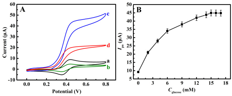 (A) CVs of 0.5 mM Fc(COOH)2 at 0.01 V s−1 in pH 7.0 PBS at (a) CBD-free MIP/AuNP-rGO/GCE, (b) CBD-rebinding MIP/AuNP-rGO/GCE after 5 μM CBD rebinding, (c) CBD-free MIP/AuNP-rGO/GCE in the presence of 1 mg mL−1 GOD and 15 mM glucose, and (d) CBD-rebinding MIP/AuNP-rGO/GCE after 5 μM CBD rebinding in the presence of 1 mg mL−1 GOD and 15 mM glucose. (B) CV Ipa of 0.5 mM Fc(COOH)2 at 0.01 V s−1 in pH 7.0 PBS containing 1 mg mL−1 GOD and different concentrations of glucose (Cglucose). The CV measurements were performed under a nitrogen atmosphere and the error bars represent the standard deviation of the experimental results (n = 3).