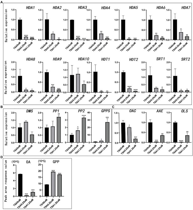 The relative expression of genes and the peak area of synthetic precursors OA and GPP after TSA treatment. The control was performed with 0μm TSA (DMSO matrix) treatment. n=3. (A) The relative expression of partial histone deacetylase genes; (B) The relative expression of key genes in the MEP pathway; (C) The relative expression of key genes in the fatty acid pathway; and (D) Peak area of synthetic precursors OA and GPP. *value of p <.05, **value of p <0.01, ***value of p <0.001, and ****value of p <0.0001.