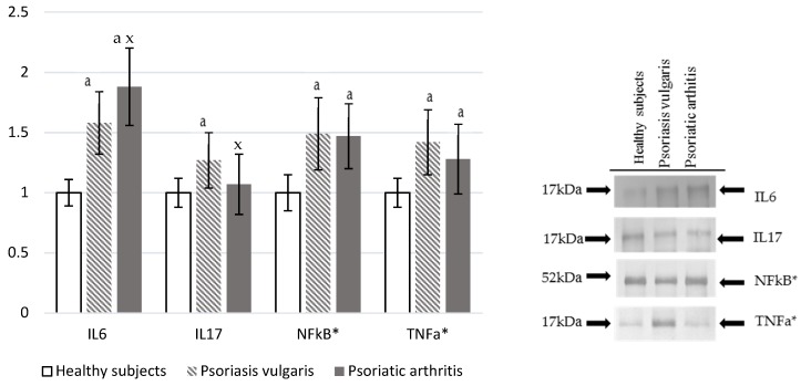 The levels of interleukins and pro-inflammatory mediators in plasma or granulocytes* from healthy subjects (n = 8) and patients with psoriasis vulgaris (n = 16) and psoriatic arthritis (n = 8). a p < 0.05 when compared with healthy subjects. x p < 0.05 when compared with patients with psoriasis vulgaris.