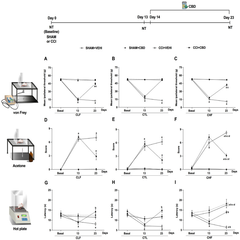 Chronic treatment with cannabidiol (CBD) reverses the mechanical allodynia, reduces thermal allodynia and hyperalgesia induced by chronic constriction injury of the ischiatic nerve (CCI) on Carioca low-conditioned freezing (CLF), high-conditioned freezing (CHF), or control (CTL) rats. Mechanical sensitivity was evaluated by the von Frey test (A–C); thermal sensitivity was evaluated in the acetone (D–F) and hot plate tests (G–I). The mechanical or thermal thresholds were evaluated at the baseline (Basal), after CCI or simulated surgery (SHAM, day 13), and after the treatment with CBD (5 mg/kg/day, i.p., for ten days, starting at the 14th experimental day) or vehicle (VEHI). a p < 0.05, Bonferroni test compared with its respective baseline and different treatments at the same lineage; b p < 0.05, Bonferroni test compared with day 13 and day 23 at the same treatment; c p < 0.05, Bonferroni test compared with CTL lineage at the same treatment; d p < 0.05, Bonferroni test compared with the CLF lineage at the same treatment. N = 8 animals per group. Abbreviations: NT: nociceptive tests.