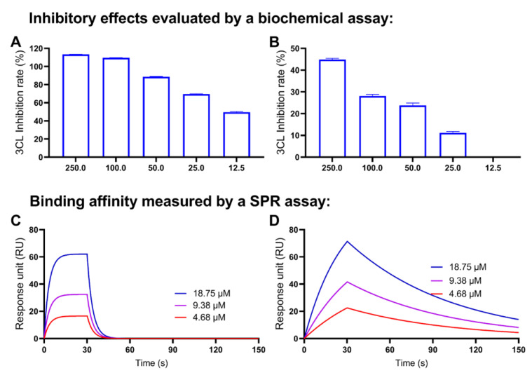 Concentration-dependent inhibitory effects of the CBG-type cannabinoids on the Mpro activity (evaluated by a biochemical enzyme inhibition assay) and their binding capacity to the Mpro protein (measured by the SPR assay). The IC50 values of CBGA (A) and CBG (B) were calculated by data from a biochemical assay with the GraphPad Prism8. The binding affinities between CBDA or CBD and the Mpro protein were determined by the SPR assay with a representative SPR sensorgram of the binding between CBGA (C) or CBG (D) and the Mpro protein.
