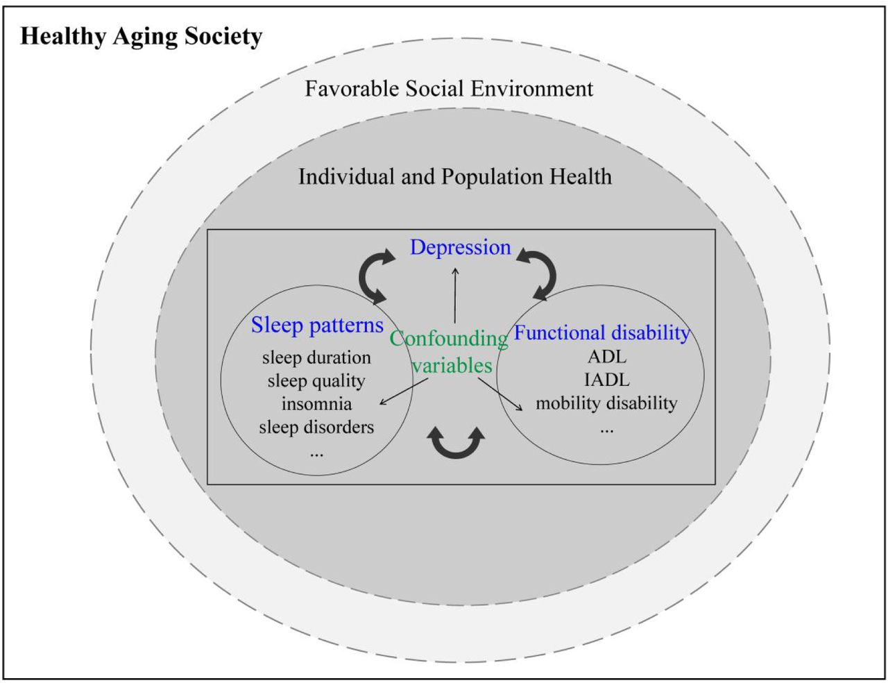 Conceptual framework.