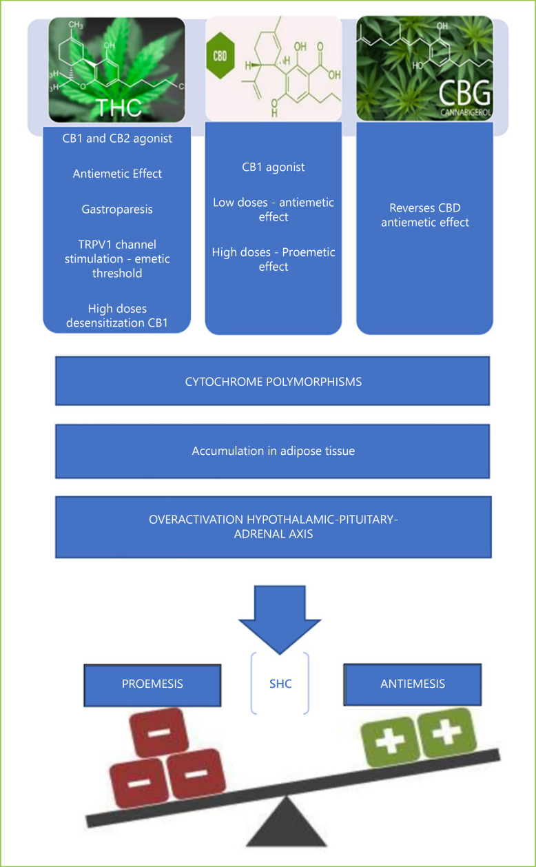 Phatophysiologic mechanisms of CHS.