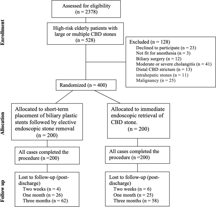 Flow chart of the study