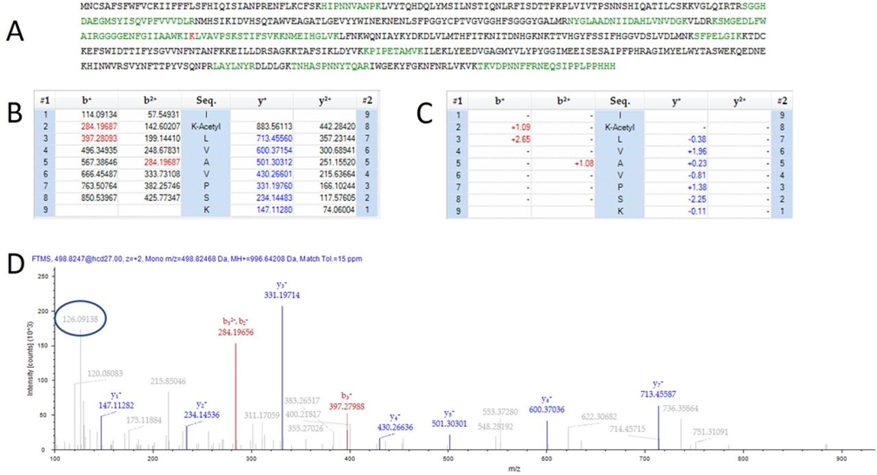 Possible THCAS Acetylation site:Figure 3A) The full theoretical sequence of THCAS with flagged lysine acetylation site in red B) The theoretical peptide fragment mao for the lysine acetylated peptide. C) The mass error of fragment ions identified in the MS/MS spectrum in panel D from theorectical. Values expressed in parts per million. D) The MS/MS spectrum identified as the lysine acetylated peptide lk(acetyl)LVAPSK. The circled fragment demonstrates a mass matching the persence of a lysine+acetyl diagnostic ion.